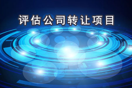 評(píng)估公司轉(zhuǎn)讓項(xiàng)目
