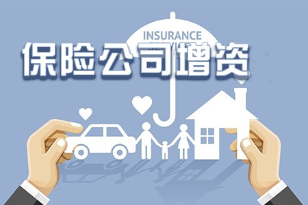保險(xiǎn)公司增資項(xiàng)目
