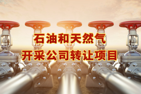 找項(xiàng)目網(wǎng)為您精選國(guó)資石油和天然氣開采公司轉(zhuǎn)讓項(xiàng)目專題！