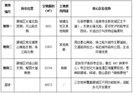 山東棗莊市薛城區三宗地塊出售項目